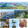 武威市(古涼州)