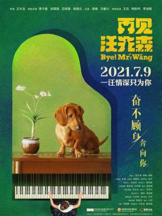 王迅 王迅