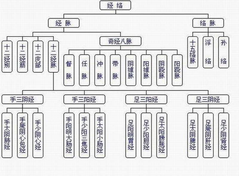 足太陰絡脈