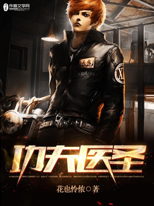 功夫醫聖 功夫醫聖