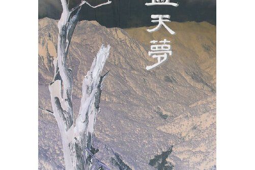 藍天夢(2013年中國文史出版社出版的圖書) 藍天夢(2013年中國文史出版社出版的圖書)
