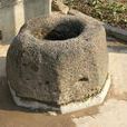 井垣 井垣