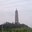琶洲塔 琶洲塔