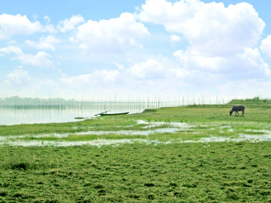 淤泥湖 淤泥湖