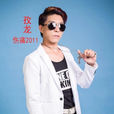 傷痛2011 傷痛2011