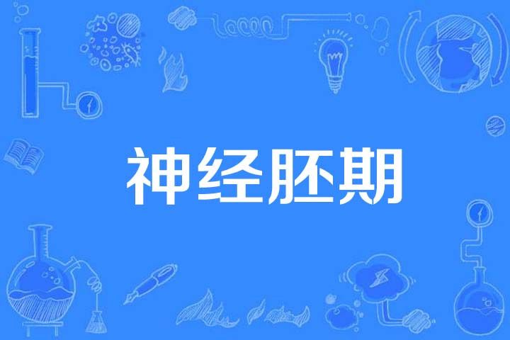 神經胚期 神經胚期