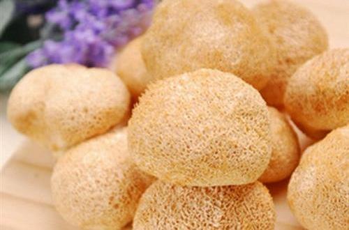 扒猴頭蘑 扒猴頭蘑