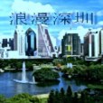 浪漫深圳 浪漫深圳