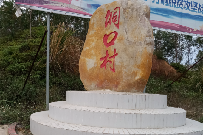 垌口村 垌口村