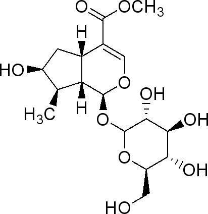 4-羥基異亮氨酸