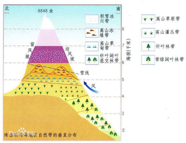 垂直帶性 垂直帶性