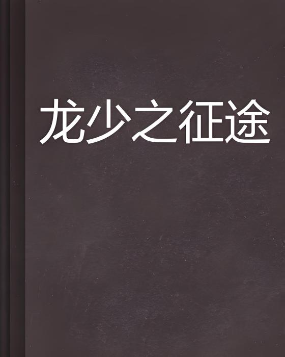 龍少之徵途 龍少之徵途