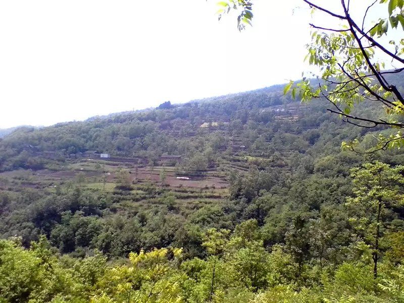 廟坡 廟坡