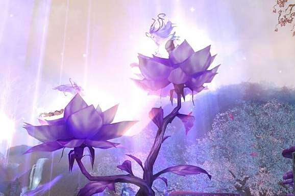 合道花 合道花
