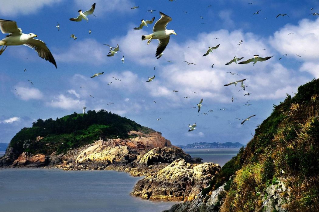 洞頭鳥島 洞頭鳥島