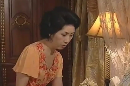安文淑(家庭倫理劇《松藥店的兒子們》中的角色) 安文淑(家庭倫理劇《松藥店的兒子們》中的角色)