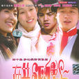 醋溜族(2004年佟大為主演電視劇) 醋溜族(2004年佟大為主演電視劇)