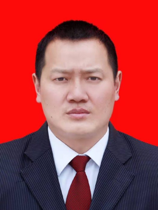 王海龍(四川省閬中市交通運輸局黨委委員、總工程師) 王海龍(四川省閬中市交通運輸局黨委委員、總工程師)