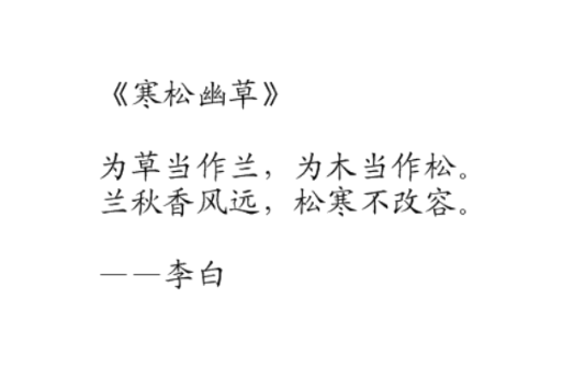 寒松幽草 寒松幽草