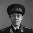 歐陽毅(中國人民解放軍高級將領)