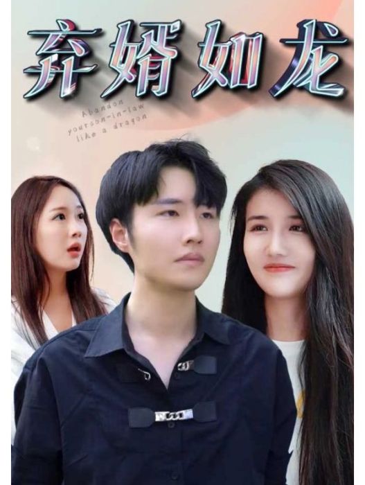 棄婿如龍 棄婿如龍