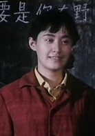 鳳凰琴(1994年李保田主演電影)