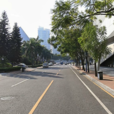 煙雨路 煙雨路