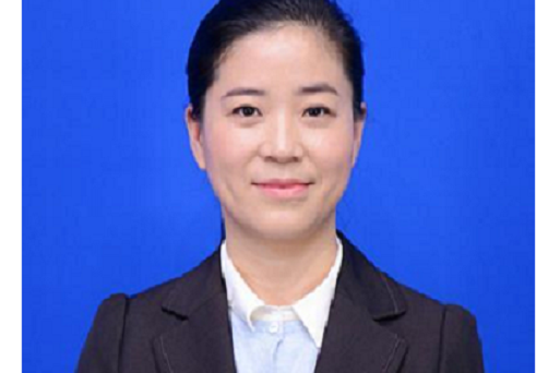 胡燕(創業慧康董事) 胡燕(創業慧康董事)