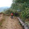 王家山村(雲南省曲靖市會澤縣雨碌鄉王家山村) 王家山村(雲南省曲靖市會澤縣雨碌鄉王家山村)
