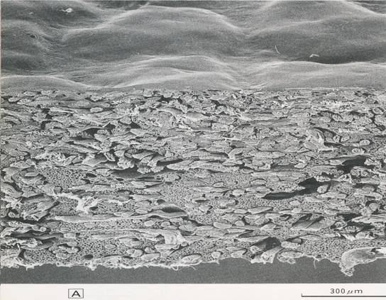 顯微鏡下的超細纖維