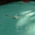 陪你看花 陪你看花