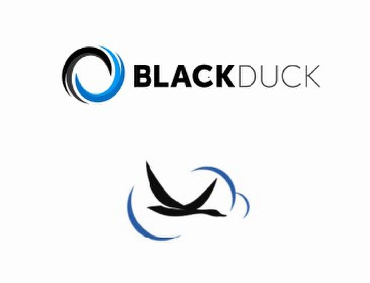 blackduck軟體 blackduck軟體