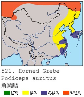 角鸊鷉中國分布圖