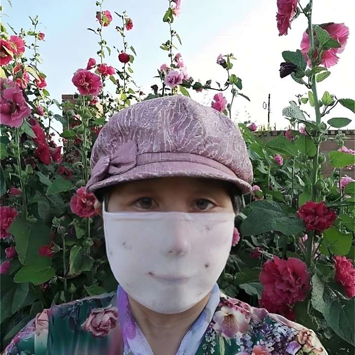 靈芝寶典520 靈芝寶典520
