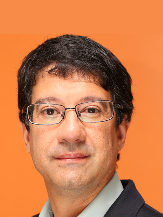 Jose A. Puppim de Oliveira Jose A. Puppim de Oliveira