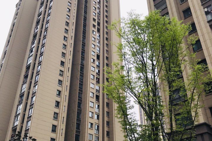 金科天宸(重慶市金科天宸小區) 金科天宸(重慶市金科天宸小區)