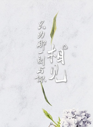 劉小震(劉念（明星）)