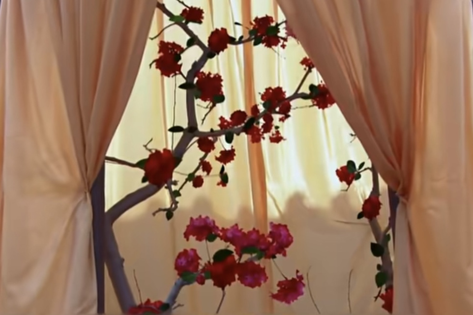 血情花(電視劇《神探狄仁傑4》中的植物) 血情花(電視劇《神探狄仁傑4》中的植物)