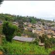 宅郎村 宅郎村