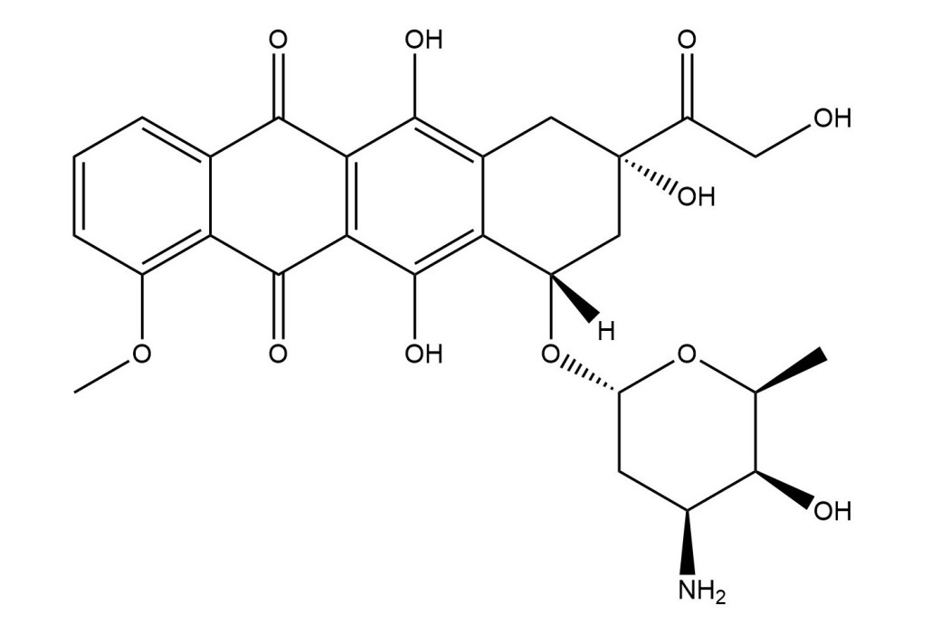 阿黴素 阿黴素