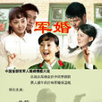 軍婚(2013年龔藝群執導電視劇) 軍婚(2013年龔藝群執導電視劇)