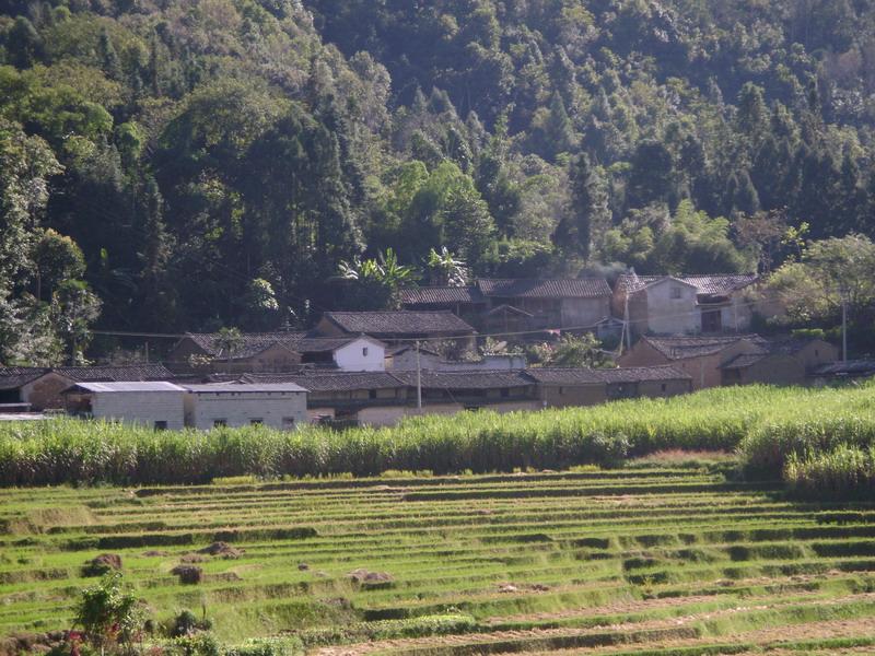 小勐藏自然村