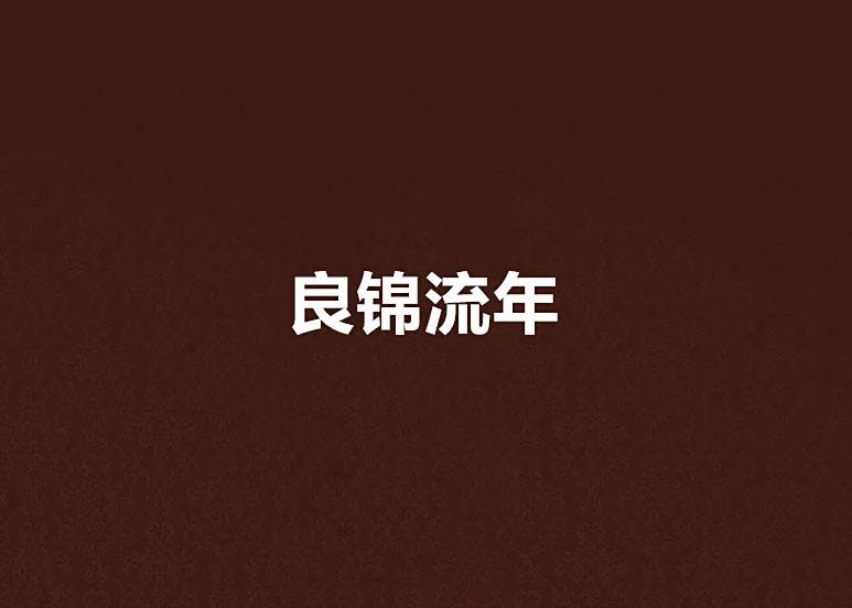 良錦流年 良錦流年