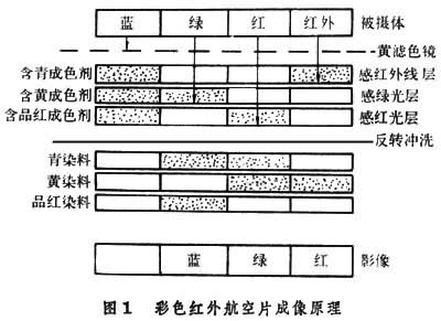 彩色感光材料