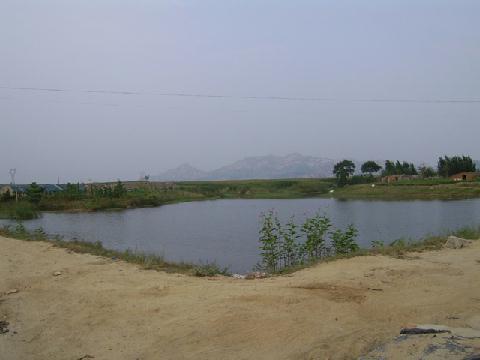 邢家屯村 邢家屯村
