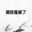 愛就是愛了 愛就是愛了