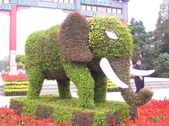 膠南雙珠公園