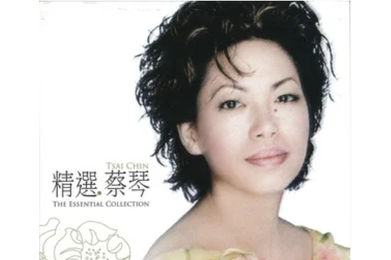 恰似你溫柔(蔡琴演唱歌曲) 恰似你溫柔(蔡琴演唱歌曲)