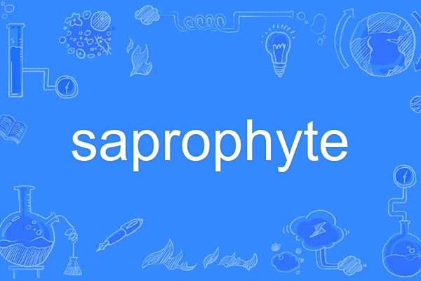 saprophyte saprophyte