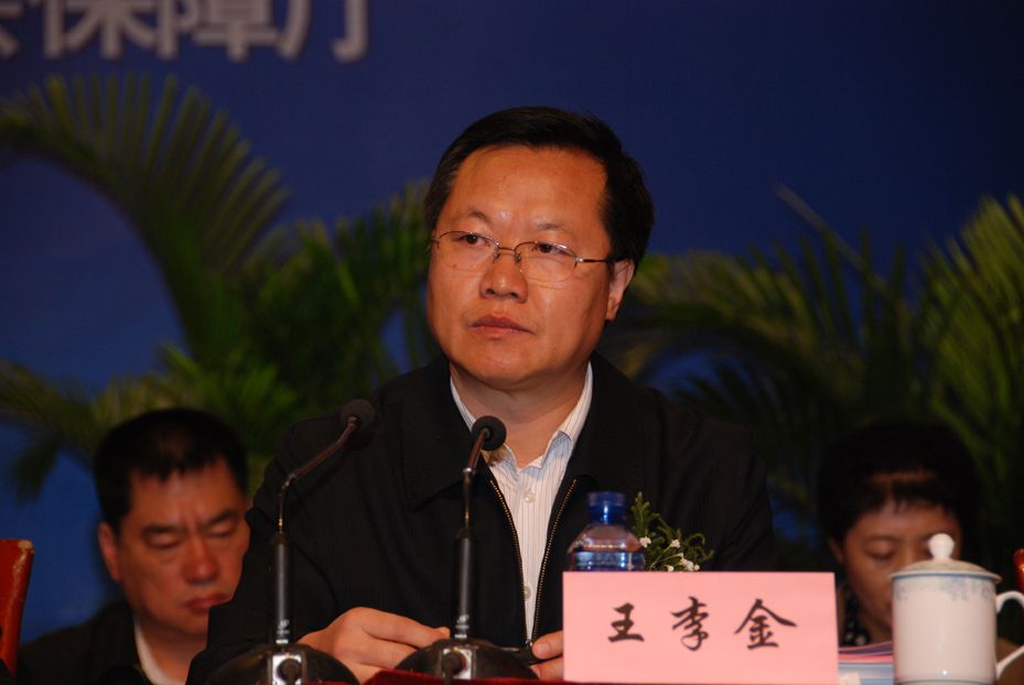 王李金 王李金